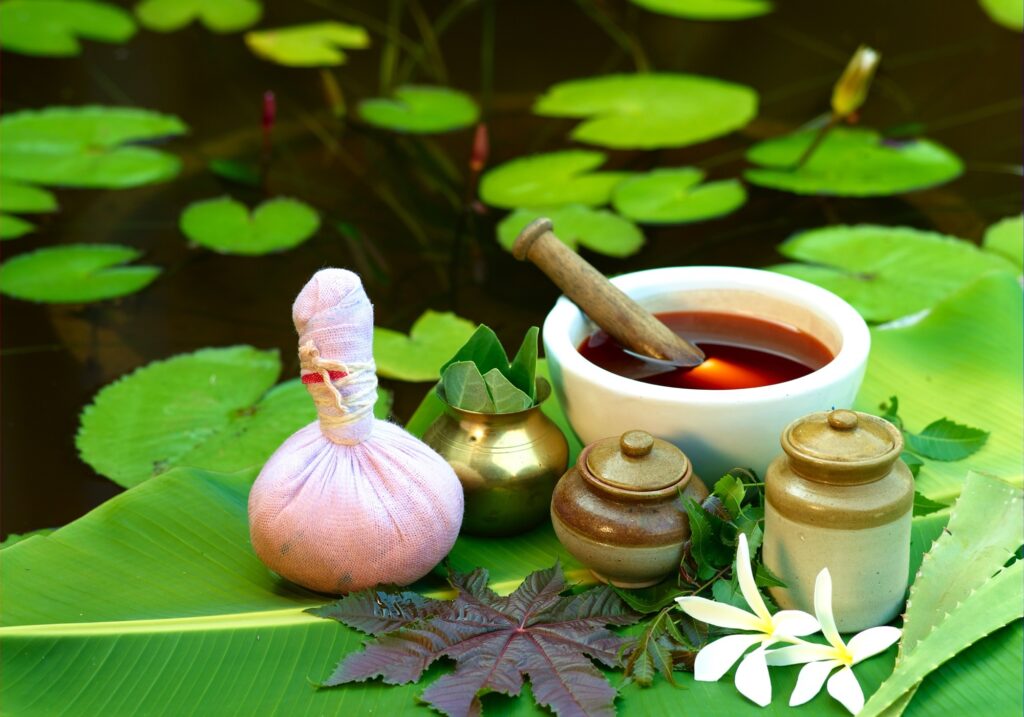 Ayurvedic Medicine – Wellness Gurukul